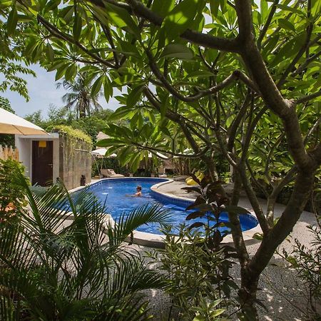 Aura Villa & Spa 아메드 외부 사진